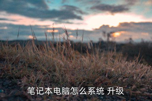 笔记本电脑怎么系统 升级