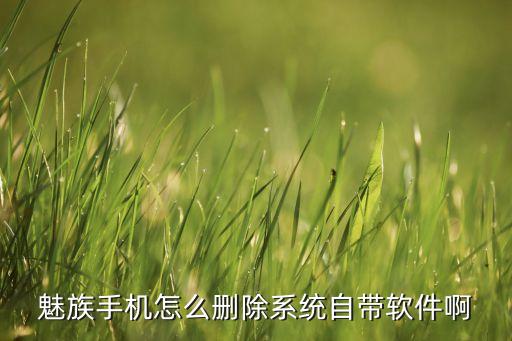 魅族手机怎么删除系统自带软件啊