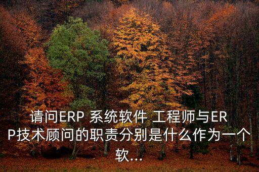 请问ERP 系统软件 工程师与ERP技术顾问的职责分别是什么作为一个软...