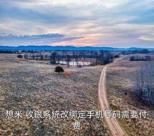 想米 收银系统改绑定手机号码需要付费