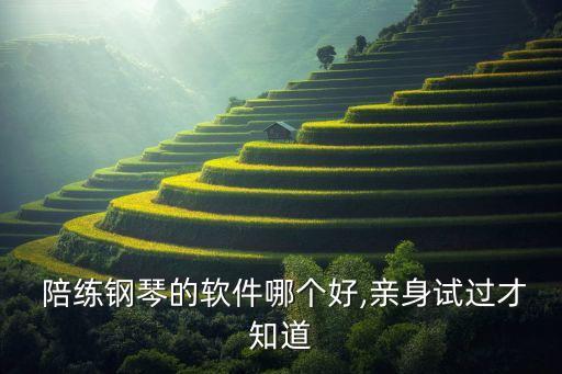 驾驶陪练系统软件下载免费