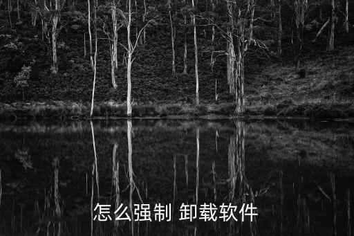 dos卸载系统软件