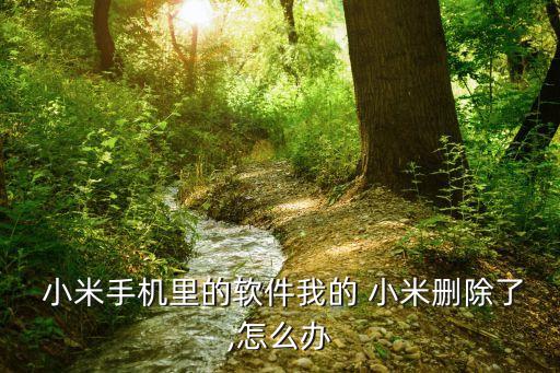  小米手机里的软件我的 小米删除了,怎么办
