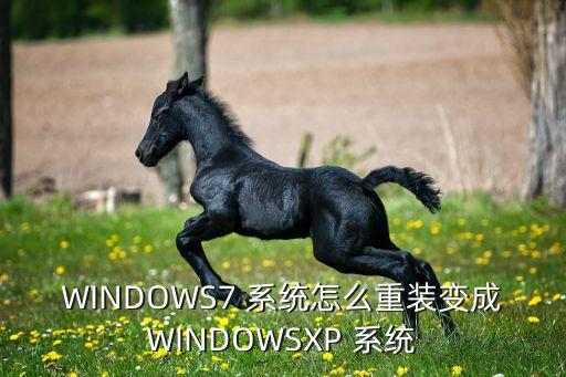 WINDOWS7 系统怎么重装变成WINDOWSXP 系统