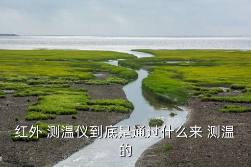 浙江测温系统软件叫什么,光纤测温系统软件