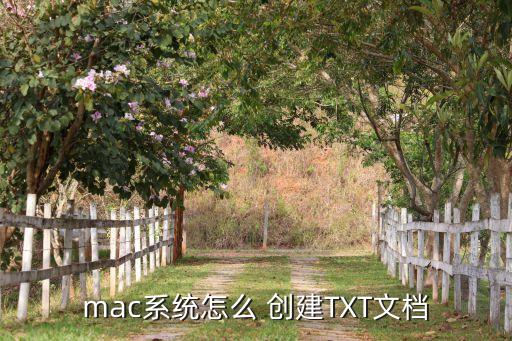 mac系统怎么 创建TXT文档