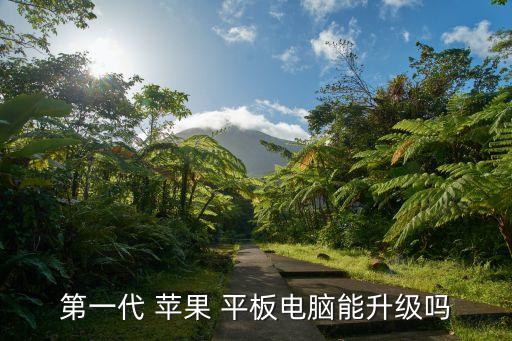 第一代 苹果 平板电脑能升级吗