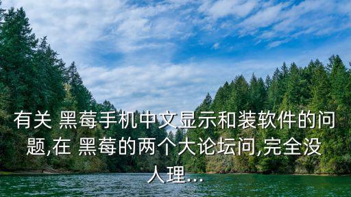 iphone装黑莓系统软件,黑莓10系统软件