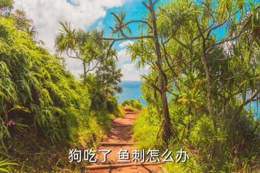 狗吃了 鱼刺怎么办