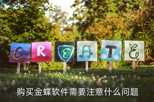  购买金蝶软件需要注意什么问题