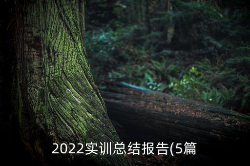 2022实训总结报告(5篇