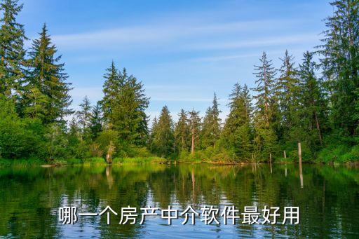 哪一个房产中介软件最好用