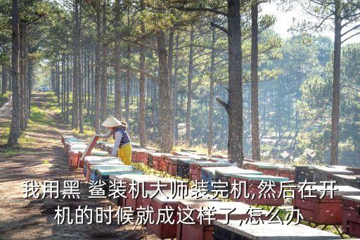 黑鲨装系统软件,安卓变黑鲨系统软件