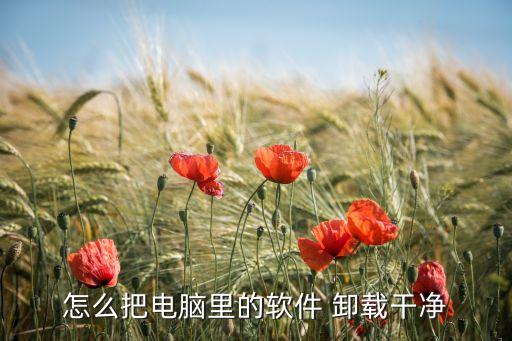 怎么把电脑里的软件 卸载干净