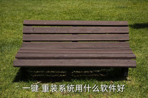 一键 重装系统用什么软件好