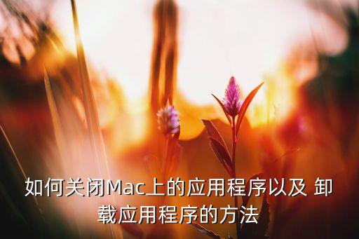 如何关闭Mac上的应用程序以及 卸载应用程序的方法