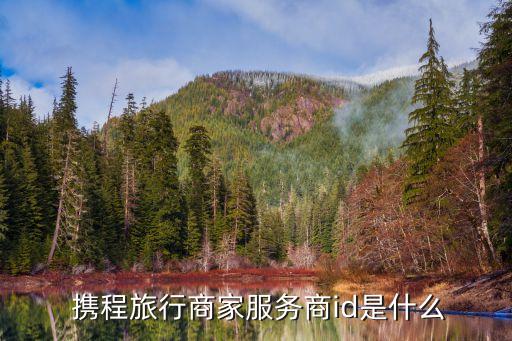 携程旅行商家服务商id是什么