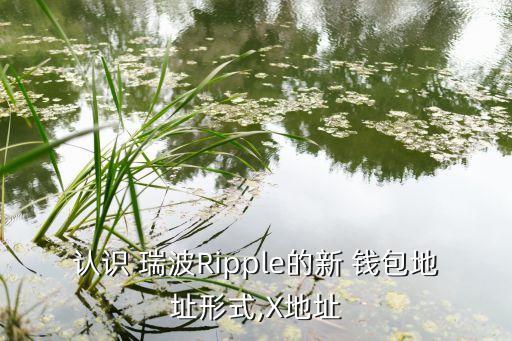 认识 瑞波Ripple的新 钱包地址形式,X地址