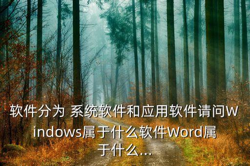 window操作系统是系统软件