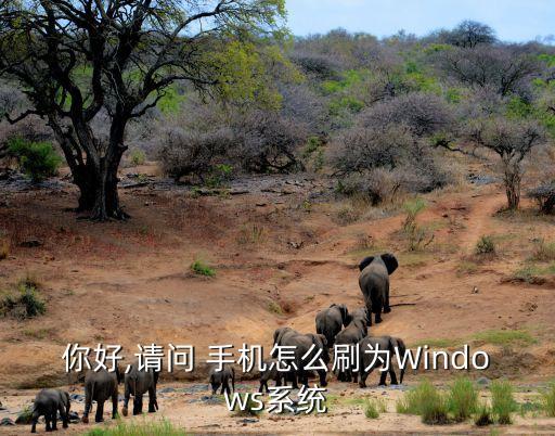 手机升级为windows系统软件