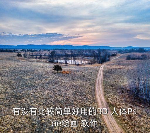 有没有比较简单好用的3D 人体Psoe绘画 软件