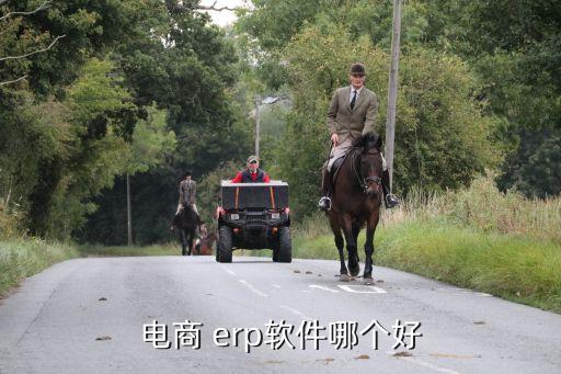 都有什么erp系统软件,erp系统有哪些?