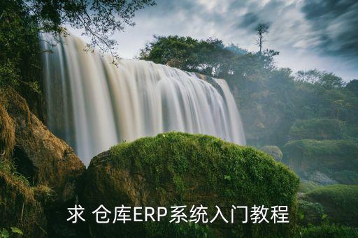 求 仓库ERP系统入门教程