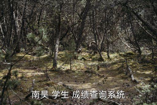 南昊 学生 成绩查询系统