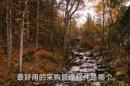 最好用的采购管理软件是哪个