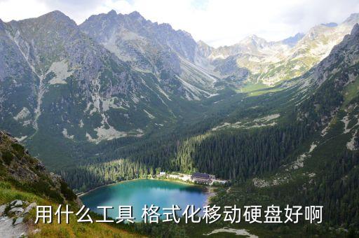 用什么工具 格式化移动硬盘好啊