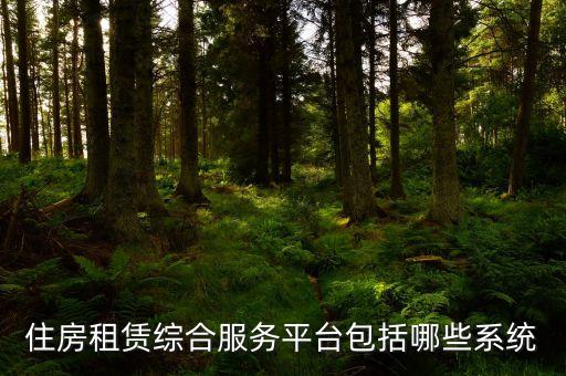住房租赁综合服务平台包括哪些系统