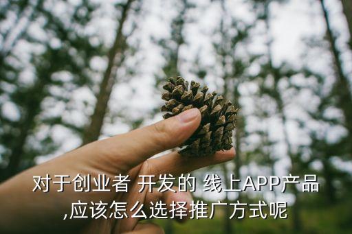 对于创业者 开发的 线上APP产品,应该怎么选择推广方式呢