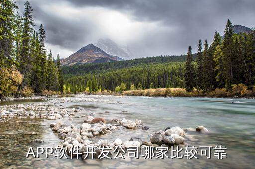 APP软件开发公司哪家比较可靠