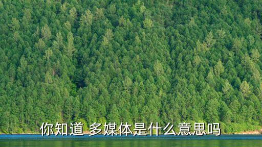 你知道 多媒体是什么意思吗