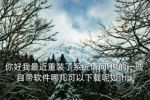 你好我最近重装了系统请问HP的一些 自带软件哪儿可以下载呢如:hp...