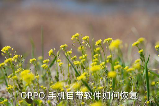OPPO 手机自带软件如何恢复