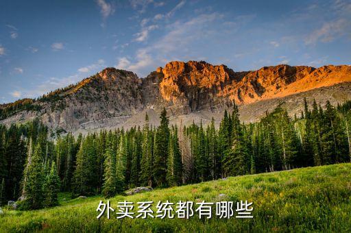 外卖系统都有哪些