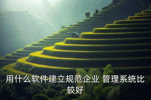 用什么软件建立规范企业 管理系统比较好