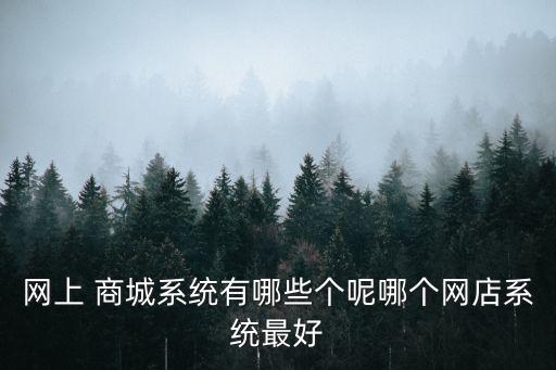 网上 商城系统有哪些个呢哪个网店系统最好