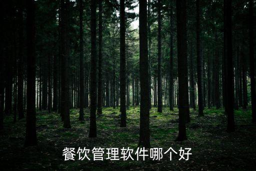 餐饮管理软件哪个好