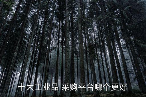 十大工业品 采购平台哪个更好