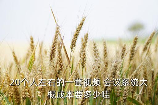 20个人左右的一套视频 会议系统大概成本要多少哇