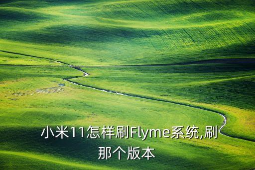  小米11怎样刷Flyme系统,刷那个版本