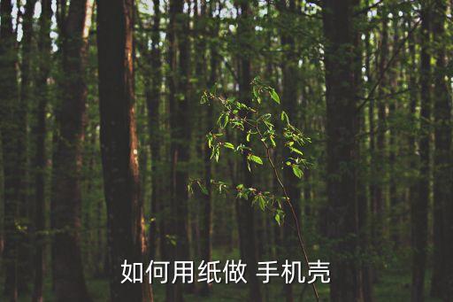 手机壳打印机系统软件,打印机驱动程序属于系统软件吗?为什么?