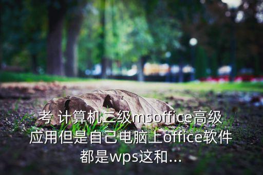 考 计算机二级msoffice高级应用但是自己电脑上office软件都是wps这和...