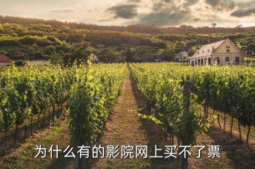 影城售票系统软件,12306售票系统属于系统软件吗