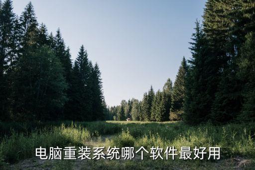 电脑重装系统哪个软件最好用