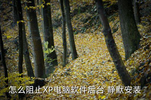 系统软件关闭静默升级,封装系统软件静默安装
