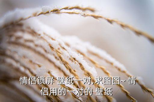 情侣照片壁纸苹果系统软件