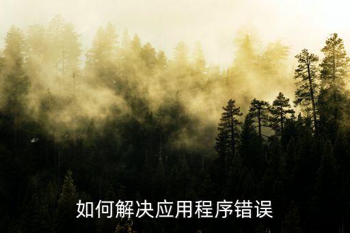 系统软件出现bug怎么解决